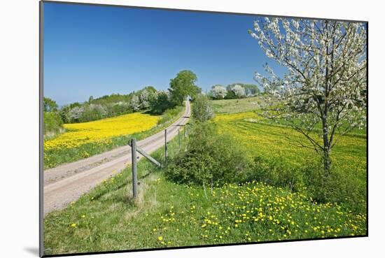 Country Lane-Bjorn Svensson-Mounted Photographic Print