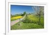 Country Lane-Bjorn Svensson-Framed Photographic Print