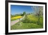 Country Lane-Bjorn Svensson-Framed Photographic Print