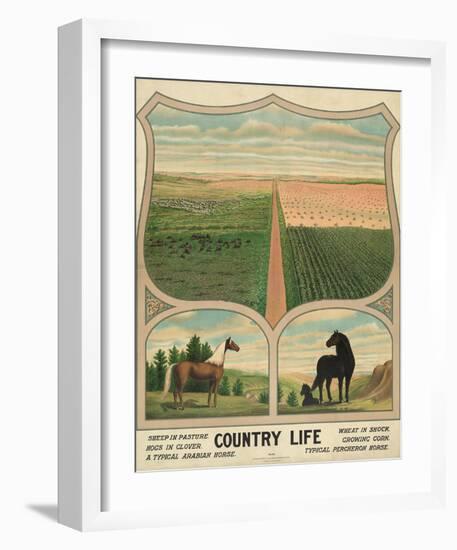 Country Life, c. 1904-Vintage Reproduction-Framed Art Print