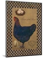 Country Living Hen-Luanne D'Amico-Mounted Art Print