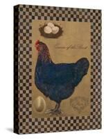 Country Living Hen-Luanne D'Amico-Stretched Canvas