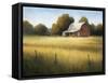 Country Meadow II-David Marty-Framed Stretched Canvas