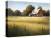 Country Meadow II-David Marty-Stretched Canvas