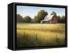 Country Meadow II-David Marty-Framed Stretched Canvas