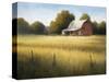 Country Meadow II-David Marty-Stretched Canvas