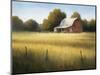 Country Meadow II-David Marty-Mounted Giclee Print