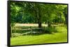 Country Meadow Wooden Fence in Berkshires Photo Poster Print-null-Framed Poster