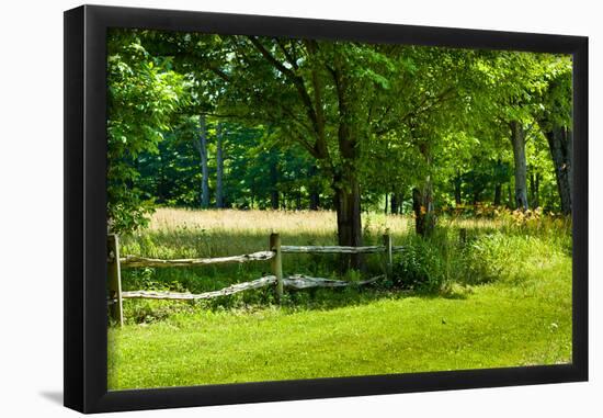 Country Meadow Wooden Fence in Berkshires Photo Poster Print-null-Framed Poster