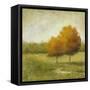 Country Meadow-Jill Schultz McGannon-Framed Stretched Canvas