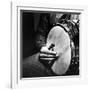 Country Music: Close Up of Banjo Being Played-Eric Schaal-Framed Photographic Print