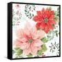 Country Poinsettias II-Daphne Brissonnet-Framed Stretched Canvas