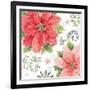 Country Poinsettias III-Daphne Brissonnet-Framed Art Print