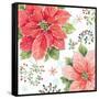 Country Poinsettias III-Daphne Brissonnet-Framed Stretched Canvas