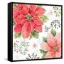 Country Poinsettias III-Daphne Brissonnet-Framed Stretched Canvas