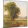 Country Pond 1-Stellar Design Studio-Mounted Art Print