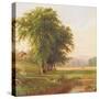 Country Pond 1-Stellar Design Studio-Stretched Canvas