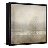 Country Pond-Jai Johnson-Framed Stretched Canvas