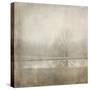 Country Pond-Jai Johnson-Stretched Canvas