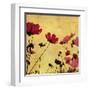 Country Poppies-null-Framed Art Print