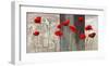 Country Poppies-Jenny Thomlinson-Framed Art Print