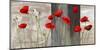 Country Poppies-Jenny Thomlinson-Mounted Art Print