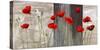 Country Poppies-Jenny Thomlinson-Stretched Canvas