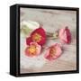 Country Poppies-Mandy Lynne-Framed Stretched Canvas