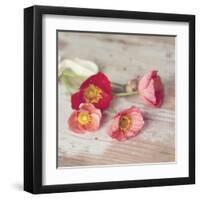 Country Poppies-Mandy Lynne-Framed Art Print