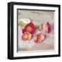 Country Poppies-Mandy Lynne-Framed Art Print