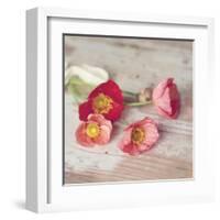 Country Poppies-Mandy Lynne-Framed Art Print