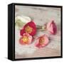 Country Poppies-Mandy Lynne-Framed Stretched Canvas