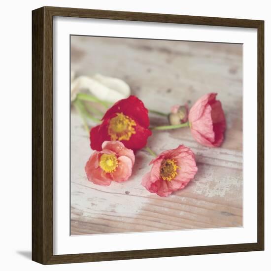 Country Poppies-Mandy Lynne-Framed Art Print