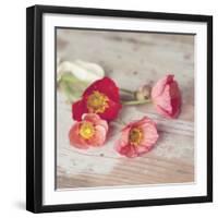 Country Poppies-Mandy Lynne-Framed Art Print