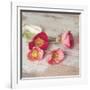 Country Poppies-Mandy Lynne-Framed Art Print