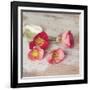 Country Poppies-Mandy Lynne-Framed Art Print