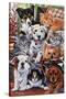 Country Pups and Kittens II-Jenny Newland-Stretched Canvas