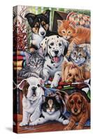 Country Pups and Kittens II-Jenny Newland-Stretched Canvas