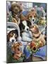 Country Pups-Jenny Newland-Mounted Giclee Print