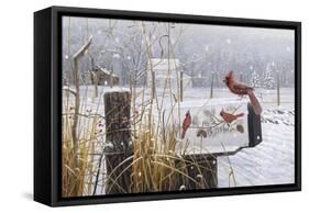 Country Red-Michael Budden-Framed Stretched Canvas