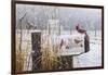 Country Red-Michael Budden-Framed Giclee Print