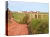 Country Road and Farm, Prince Edward Island, Canada-Julie Eggers-Stretched Canvas