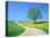 Country road and tree, spring-Herbert Kehrer-Stretched Canvas