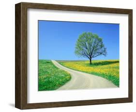 Country road and tree, spring-Herbert Kehrer-Framed Photographic Print