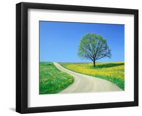 Country road and tree, spring-Herbert Kehrer-Framed Photographic Print