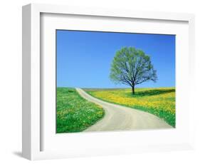 Country road and tree, spring-Herbert Kehrer-Framed Photographic Print