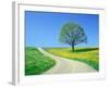 Country road and tree, spring-Herbert Kehrer-Framed Photographic Print