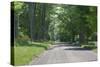 Country Road Berkshires MA Photo Poster-null-Stretched Canvas