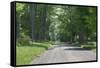 Country Road Berkshires MA Photo Poster-null-Framed Stretched Canvas