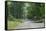 Country Road Berkshires MA Photo Poster-null-Framed Stretched Canvas